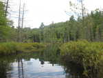 Bog Pond