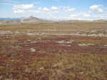 The Bighorn Flats near Flattop Mountain