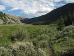 Looking up the Nicholia Creek Valley