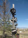 Mountain View Motel’s shoe tree, where CDT hiker shoes go to retire