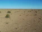 The barren nothingness of southern New Mexico