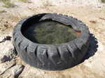 Would you drink the water from this tire?