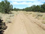 The 4WD road the alternate CDT followed. I walked around 30 miles across roads this day.