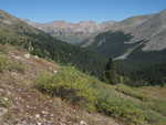 Looking down Clear Creek Valley