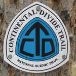 CDT Logo