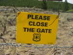 A lot of the land the CDT crosses is open for cattle grazing, so there is a lot of barbed wires and gates to keep them in place. The “Please close the gate” signs are on all the crossings. When I see the destruction cows wreak between their hooves and pies, I can never decide whether to become a vegetarian or eat a steak in the next town. The latter is a lot tastier, so I’ll stick with that for now.