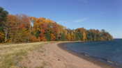 A beach on Cat Island with colorful trees