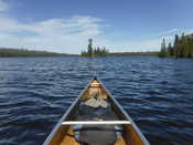 View from my canoe
