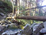 A bridge made out of a large log