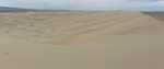 The Khongoryn Els sand dunes