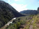 The Whakatane River