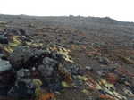 The barren landscape on the east side of the volcanoes