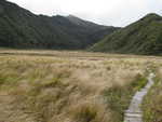 Boardwalk through Egmont National Park