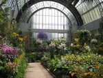 Inside the Wintergardens greenhouse