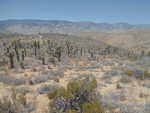 The barren southern California desert