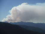 Smoke rising from a forest fire
