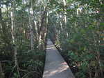 Boardwalk on Sandfly Island