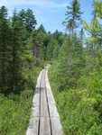 Boardwalk docks on St. Regis Pond