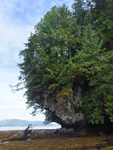 Cliffs on the shore of Checats Cove