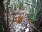 The extremely muddy track between South Cape Rivulet and Granite Beach