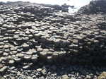 Many columns of hexagonal stones at Giants Causeway