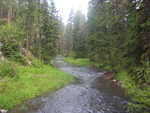 Box Elder Creek