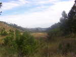 View from near the French Creek Natural Area