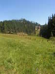 Meadow in the Eagle Cliff Trails