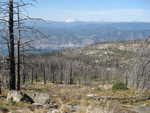 Okanagan Mountain Charred Landscape