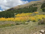 The trees changing color, and it was only Labor Day