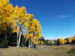 The scenery around American Canyon Spring