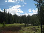 A clearing near Muskrat Pass