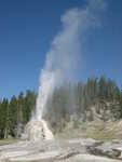 Lone Star Geyser erupting