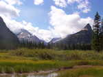 A high mountain field with Gunsight Pass in the distance