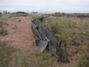 An old wreck on Outer Island