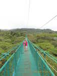 A hanging bridge