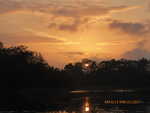 Sunrise over Caño Negro