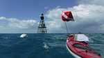 Snorkeling at Fowey Rocks Lighthouse