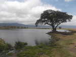 Ngoitokitok Picnic Area