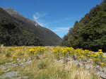 Looking up the Deception River