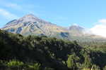 Mt. Taranaki from Waiaua Gorge Hut