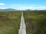 A long board-walked section through the island’s interior