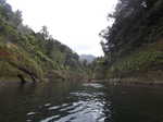 Steep cliffs with vegetation growing all over them