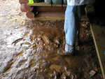 The muddy ground underneath the shelter