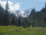 A field of wildflowers back by snowcapped mountains in the Obsidian Limited Entry Area