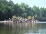 Like ants swarming on an ant hill, the volunteers attack piles of garbage