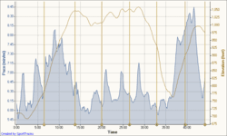 Leg 17’s results 